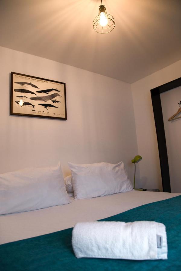 פואנטה ארנס Hostal Boutique Terra Antarctica מראה חיצוני תמונה