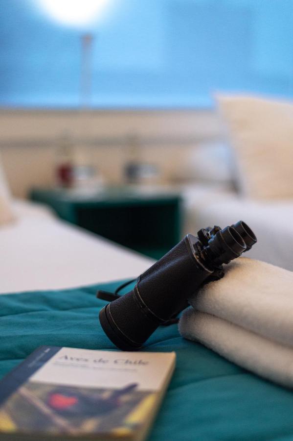 פואנטה ארנס Hostal Boutique Terra Antarctica מראה חיצוני תמונה